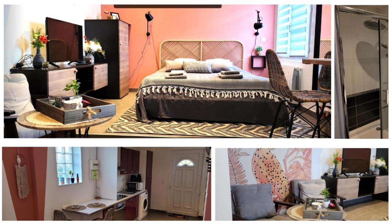 Studio Orange - Parc Asterix - Mer De Sable - Villepinte - Aeroport Cdg Vemars Εξωτερικό φωτογραφία